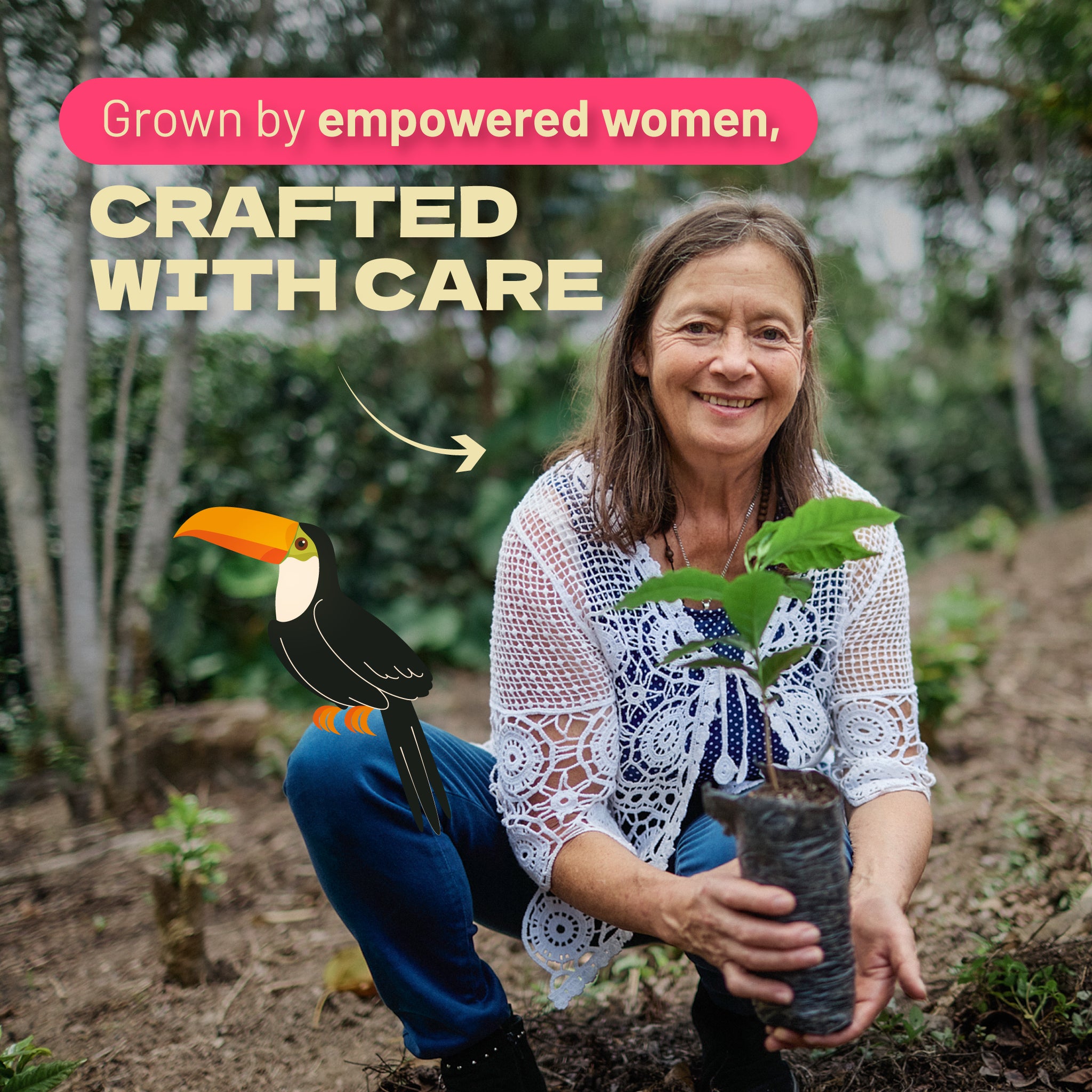 Light Roast, K- Cup Pods, 22 Units