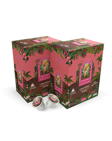 K-Cups / 22 units / Pack x2